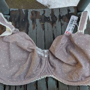 Freya Mauve Dot Underwire Bra with Cream Lace Trim